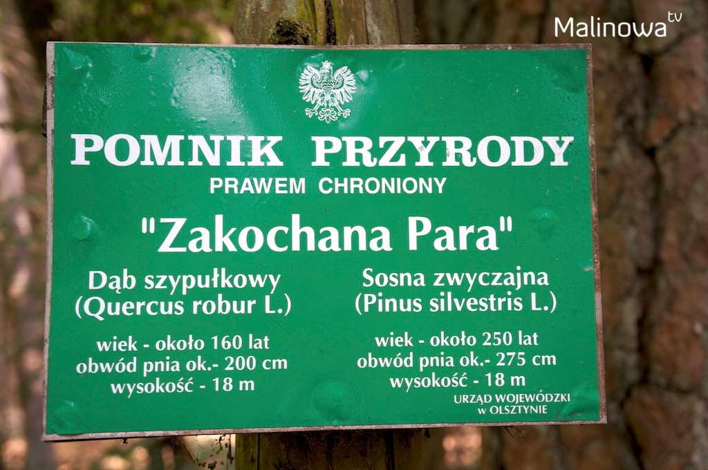 zakochana para