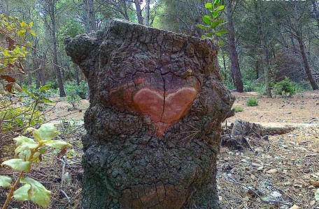 seks jako dowód miłości