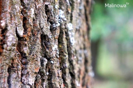 negatywne scenariusze