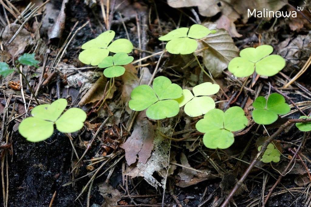 Jak zmienić przekonania